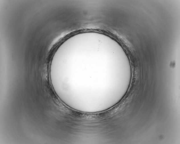 X0000093561262200711121006