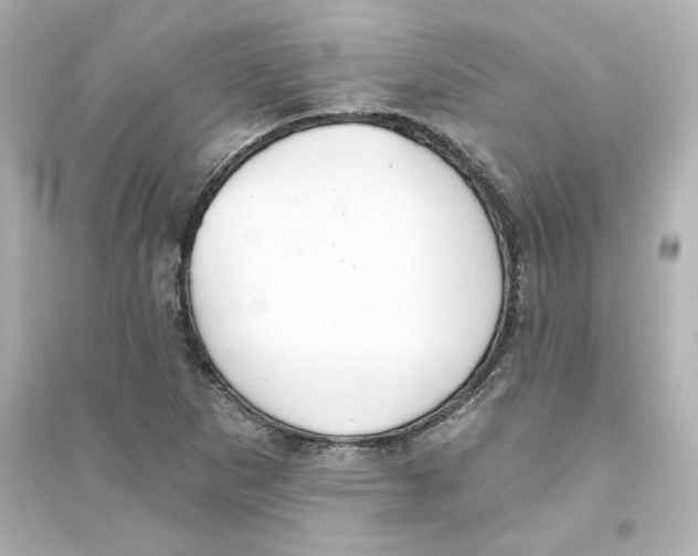 X0000093561265200711121006