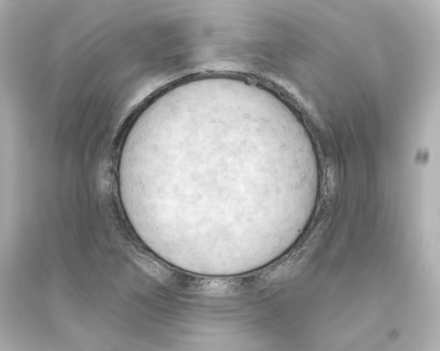 X0000093561266200711121006