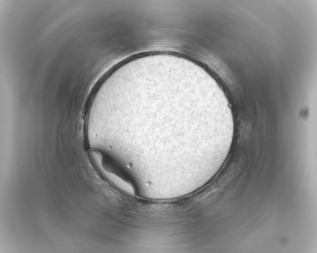 X0000093561268200711121006