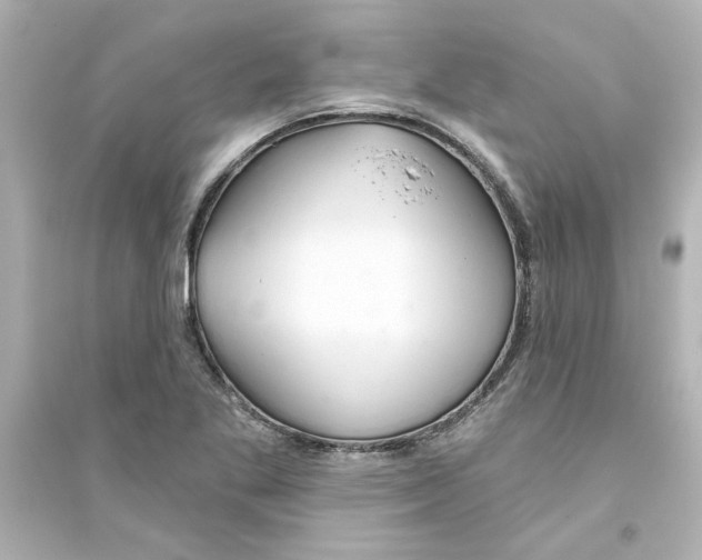 X0000093561269200711121006