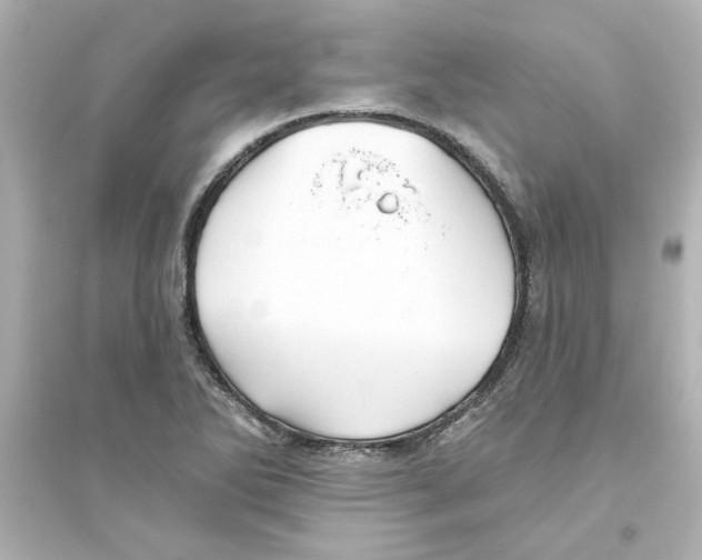 X0000093561270200711121006