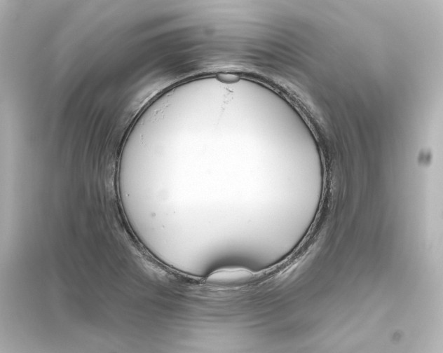 X0000093561273200711121006