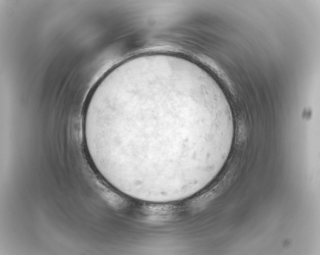 X0000093561274200711121006