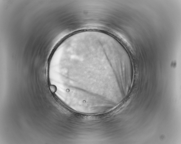 X0000093561275200711121006