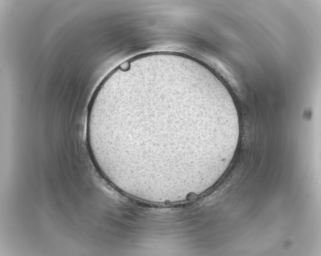 X0000093561276200711121006