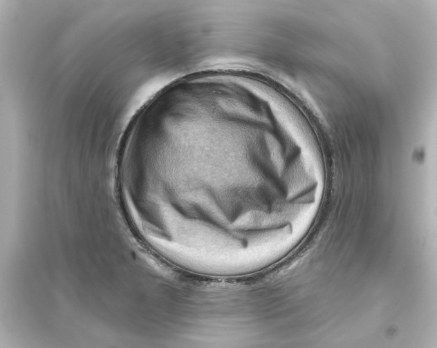 X0000093561277200711121006