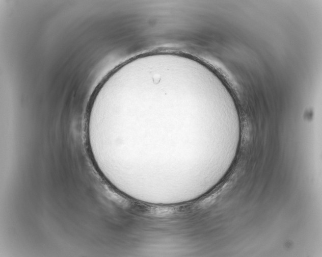 X0000093561278200711121006