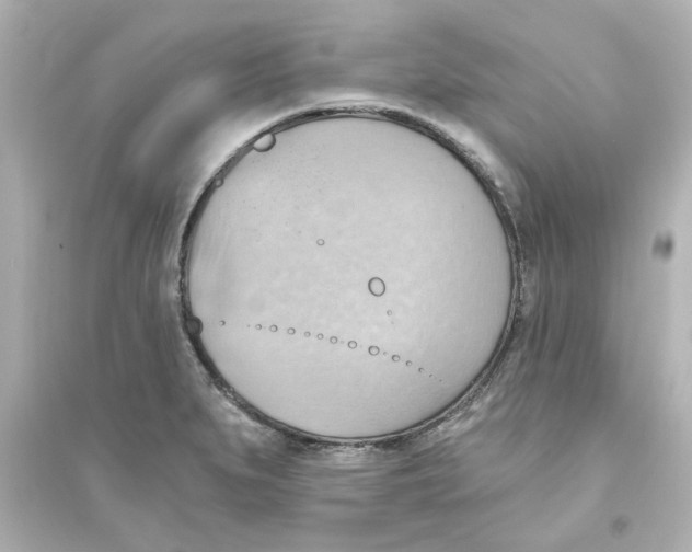 X0000093561279200711121006