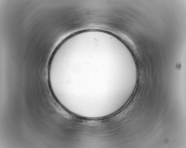 X0000093561280200711121006