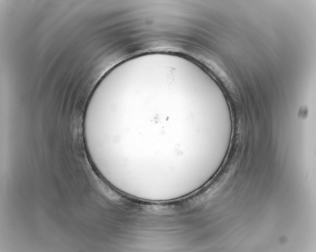 X0000093561281200711121006