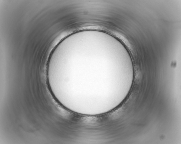 X0000093561282200711121006