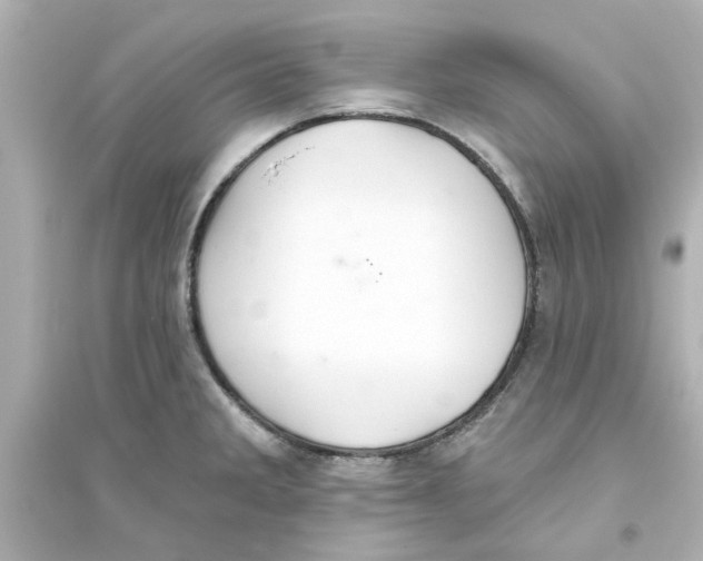 X0000093561285200711121006