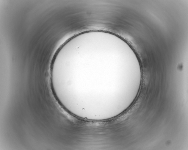 X0000093561286200711121006