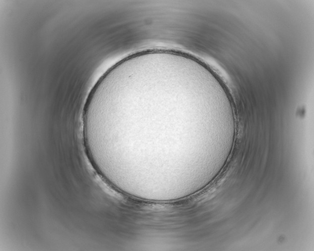 X0000093561287200711121006