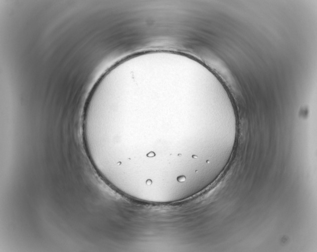 X0000093561288200711121006