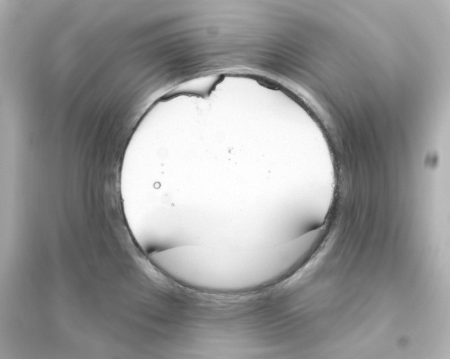 X0000093561289200711121006