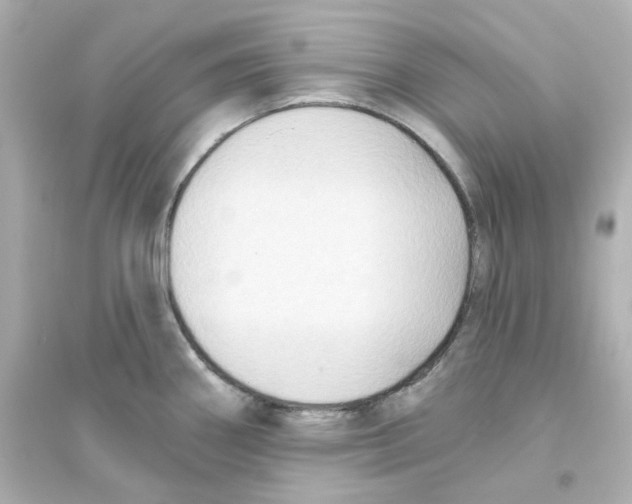 X0000093561290200711121006