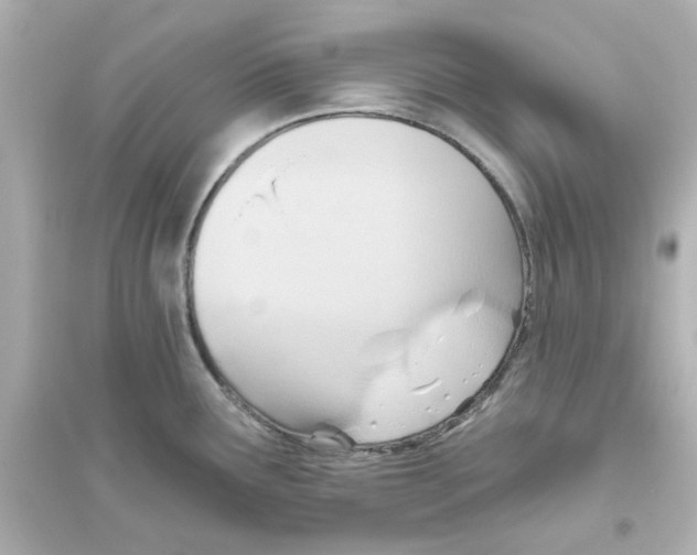 X0000093561291200711121006