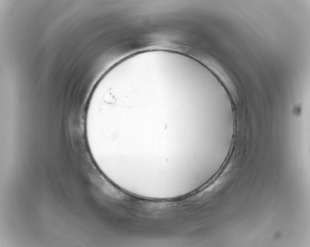 X0000093561292200711121006