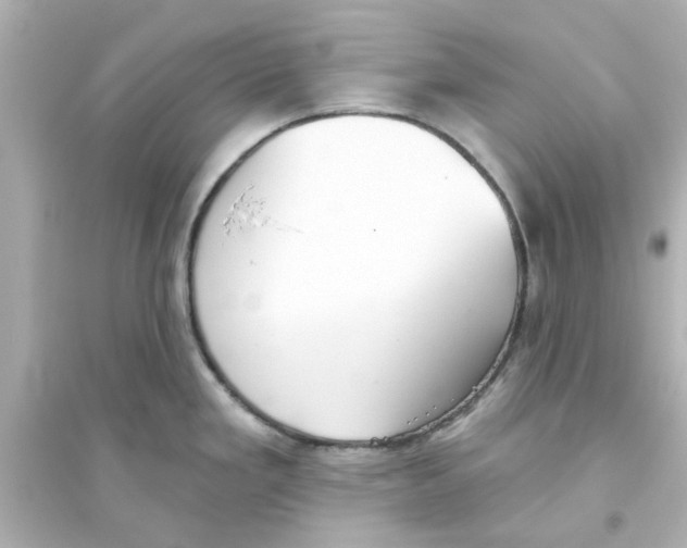 X0000093561293200711121006