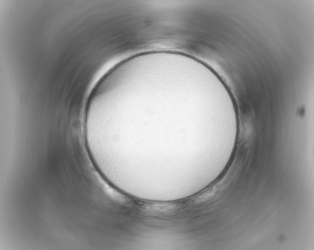X0000093561294200711121006