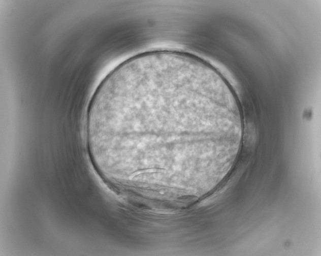 X0000093561295200711121006