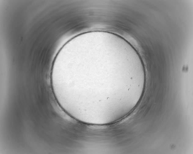 X0000093561296200711121006