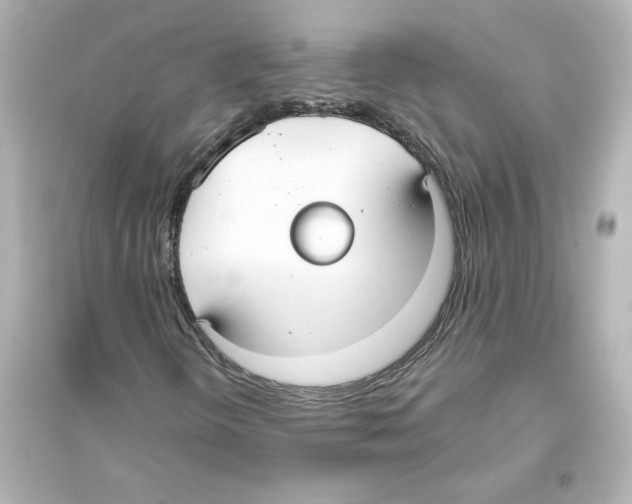 X0000093561298200711121005
