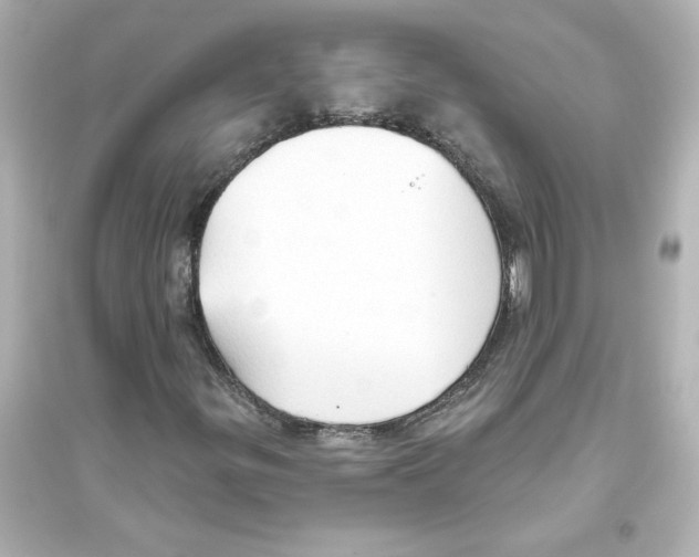 X0000093561299200711121005