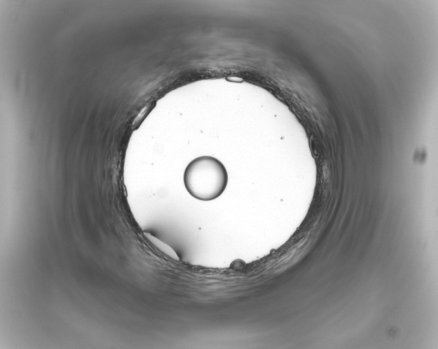 X0000093561300200711121005