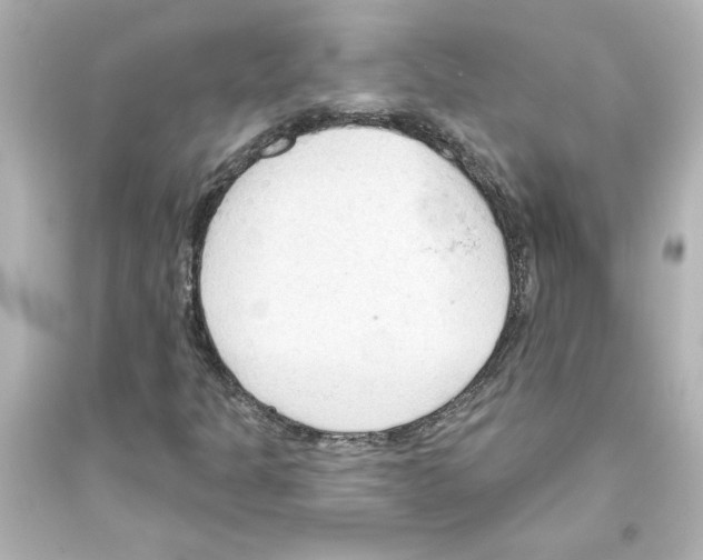 X0000093561301200711121005