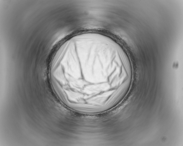 X0000093561306200711121005