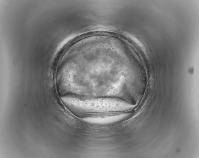 X0000093561310200711121005