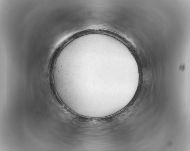 X0000093561311200711121005