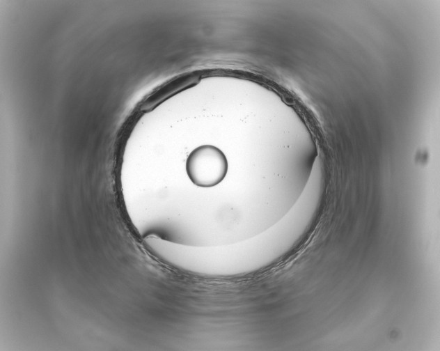 X0000093561312200711121005