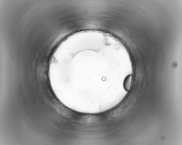 X0000093561314200711121005