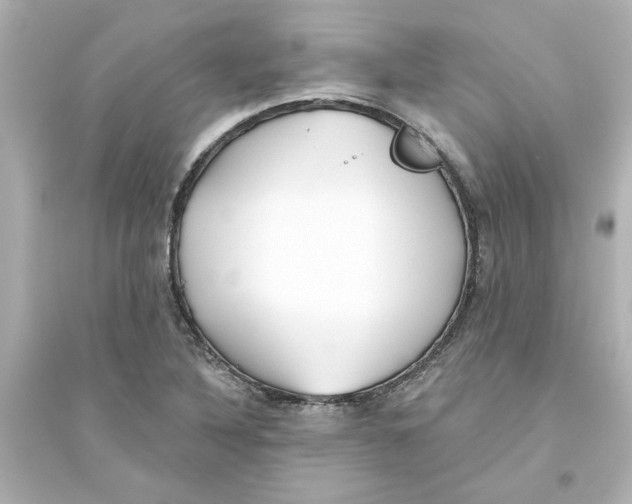 X0000093561316200711121005