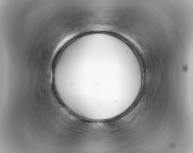 X0000093561317200711121005