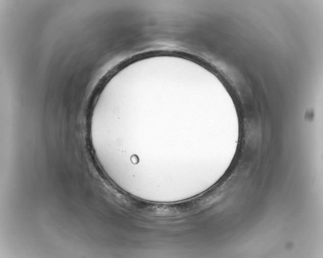 X0000093561318200711121005
