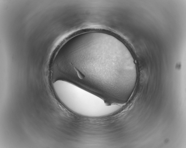 X0000093561319200711121005
