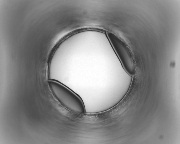 X0000093561320200711121005