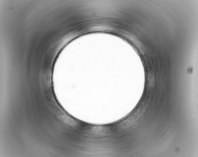 X0000093561322200711121005