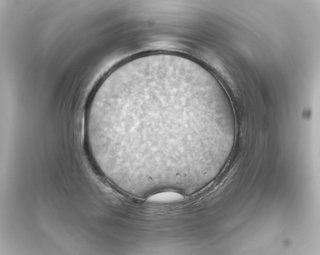X0000093561323200711121005