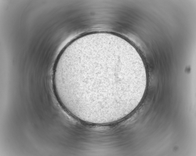 X0000093561325200711121005