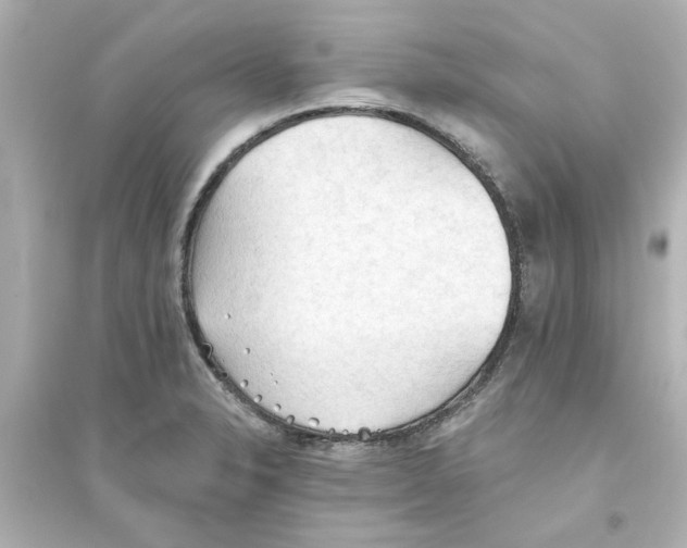 X0000093561326200711121005