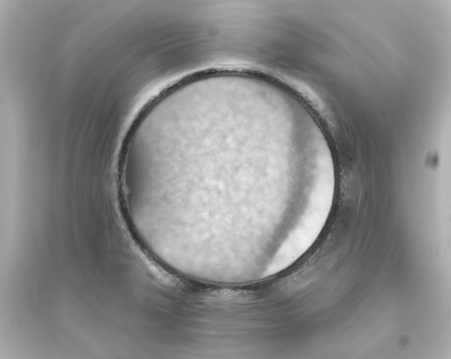 X0000093561327200711121005