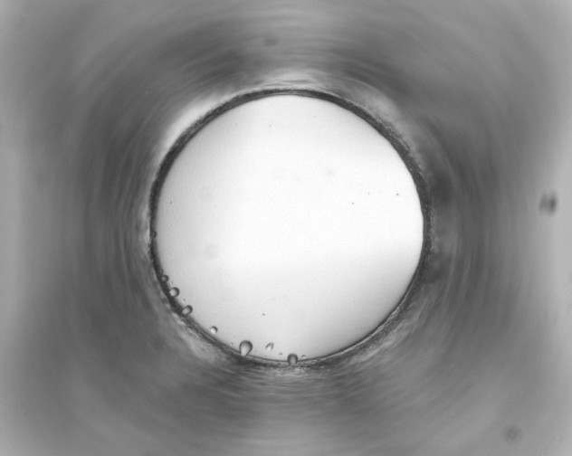 X0000093561328200711121005