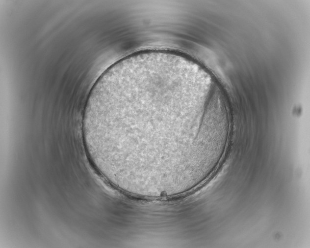 X0000093561329200711121005