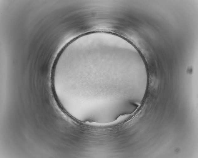 X0000093561331200711121005